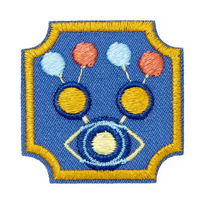 Ambassador Think Like a Programmer Journey