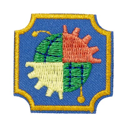 Ambassador Think Like an Engineer Journey