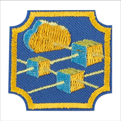 Ambassador Cybersecurity Basics 1