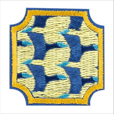 Ambassador Think Like A Citizen Scientist Award