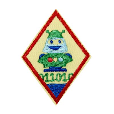 Cadette Programming Robots 1