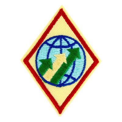 CADETTE GLOBAL ACTION AWARD YEAR 3