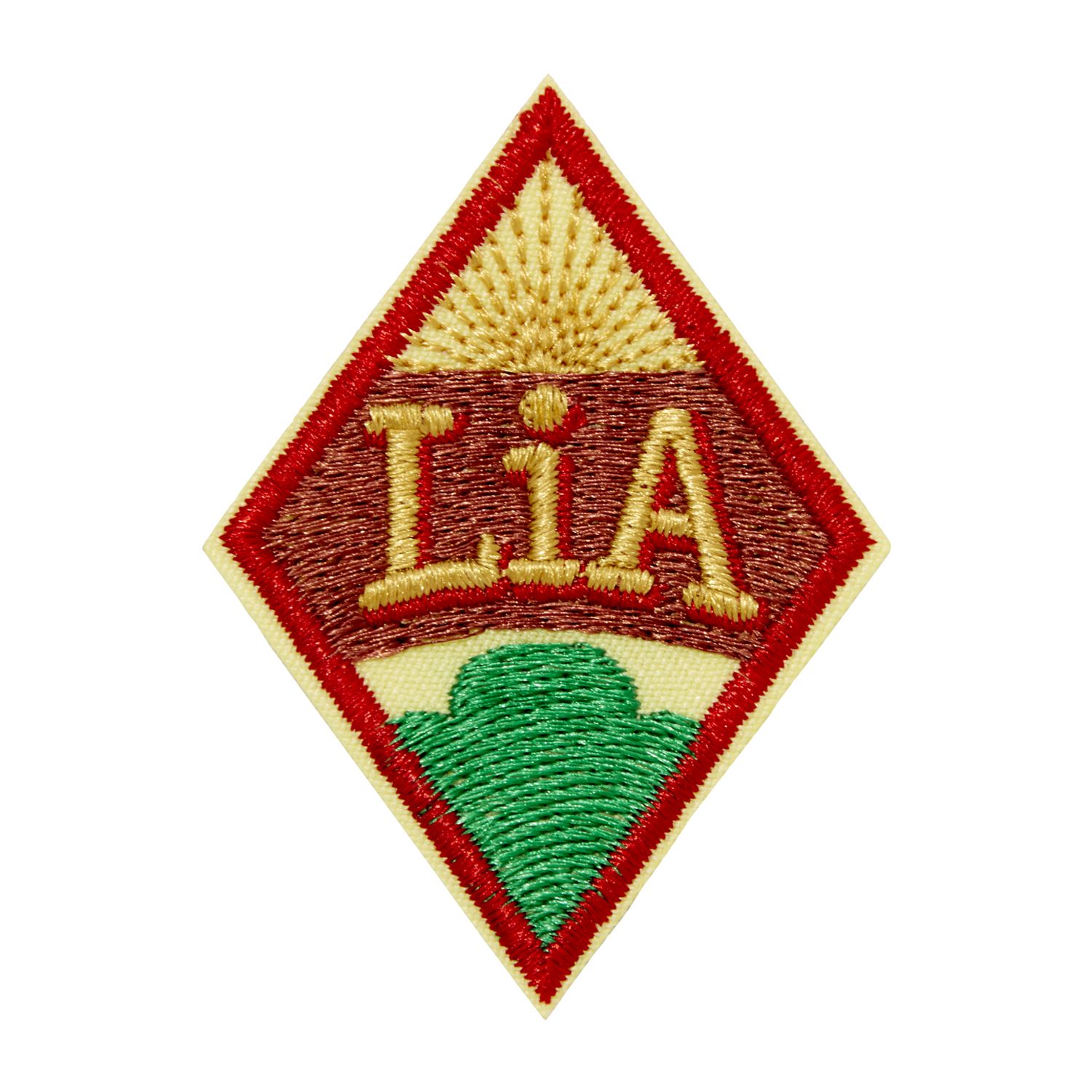 Cadette Leadership in Action Award