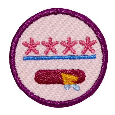 Junior Cybersecurity Safeguards 2