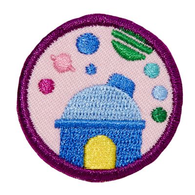 Junior Space Science Investigator