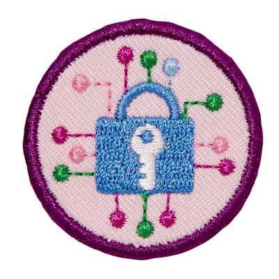 Junior Cybersecurity Investigator 3