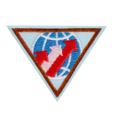 BROWNIE GLOBAL ACTION AWARD YEAR 1