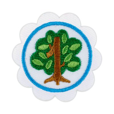 DAISY SHAPES IN NATURE BADGE