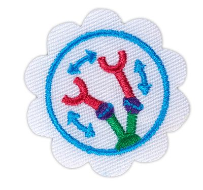 Daisy Design  A Robot Badge