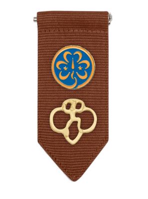 Brownie Insignia Tab