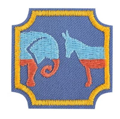 Democracy for Ambassadors