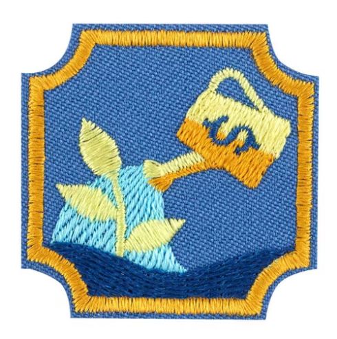 AMBASSADOR FINANCIAL PLANNER FINANCIAL WELLNESS