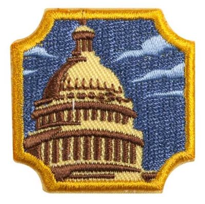 AMBASSADOR PUBLIC POLICY BADGE