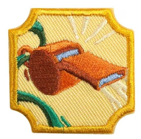 AMBASSADOR COACHING BADGE