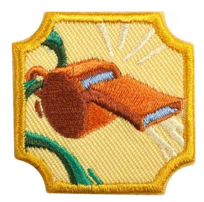 AMBASSADOR COACHING BADGE