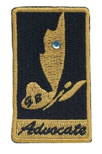 AMBASSADOR YOUR VOICE, YOUR WORLD JOURNEY AWARD ADVOCATE PATCH