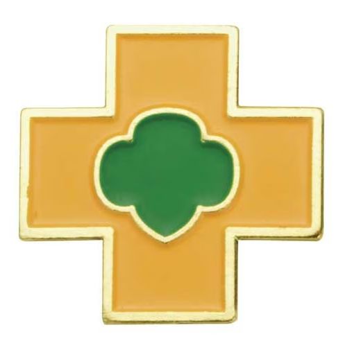 UPDATED AMBASSADOR SAFETY AWARD PIN