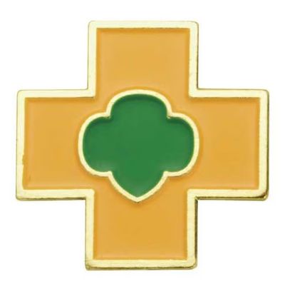 UPDATED AMBASSADOR SAFETY AWARD PIN