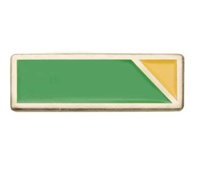 AMBASSADOR SERVICE TO GIRL SCOUTING BAR