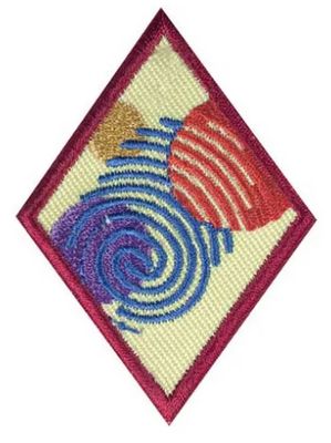CADETTE SPECIAL AGENT BADGE