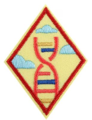 Cadette STEM Career Exploration