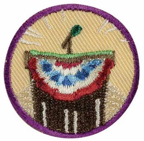 JUNIOR INSIDE GOVERNMENT BADGE