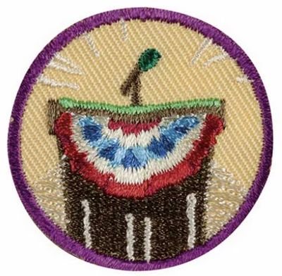 JUNIOR INSIDE GOVERNMENT BADGE