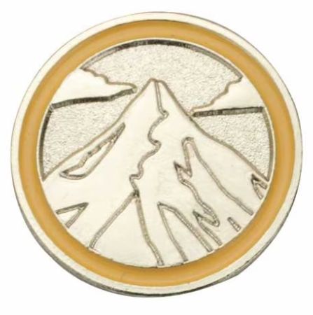 AMBASSADOR JOURNEY SUMMIT AWARD PIN