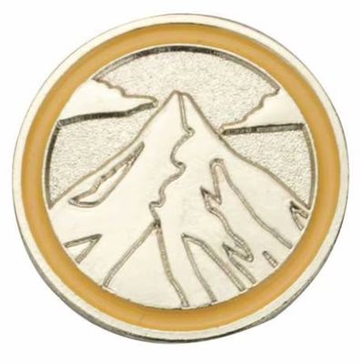 AMBASSADOR JOURNEY SUMMIT AWARD PIN