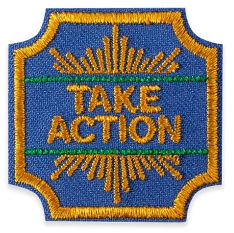 Ambassador Take Action Award