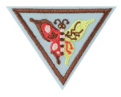 * BROWNIE CREATE AND INNOVATE BADGE