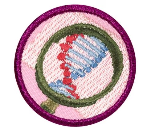 JUNIOR DETECTIVE BADGE