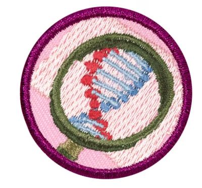 JUNIOR DETECTIVE BADGE