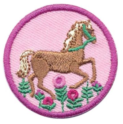 JUNIOR HORSEBACK RIDING BADGE