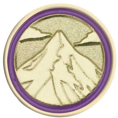 JUNIOR JOURNEY SUMMIT AWARD PIN