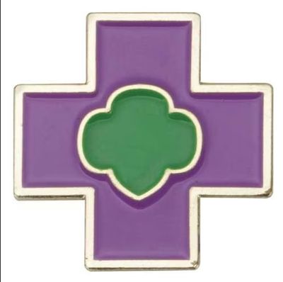 UPDATED JUNIOR SAFETY AWARD PIN