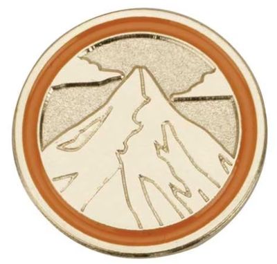 SENIOR JOURNEY SUMMIT AWARD PIN