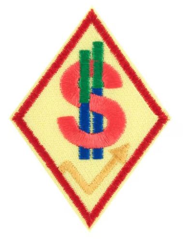 CADETTE BUDGET MANAGER FINANCIAL WELLNESS