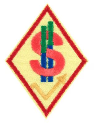 CADETTE BUDGET MANAGER FINANCIAL WELLNESS