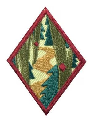 CADETTE TRAILBLAZING BADGE