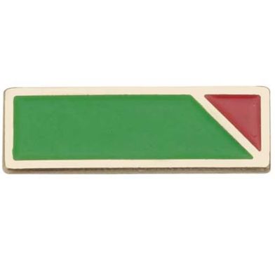 CADETTE SERVICE TO GIRL SCOUTING BAR
