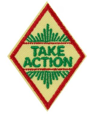 Cadette Take Action Award