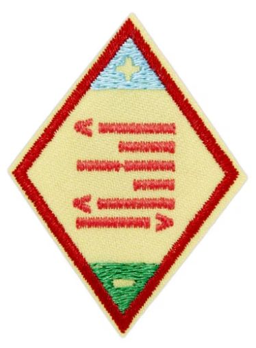 Cadette Think Like a Programmer Journey