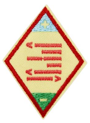 Cadette Think Like a Programmer Journey