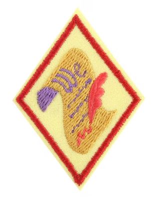 Democracy for Cadettes