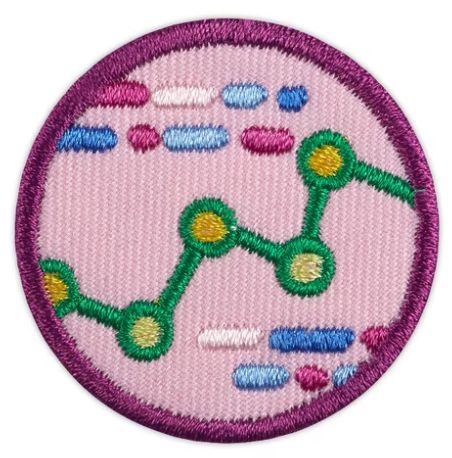 Junior Computer Science Journey Award-Think Like a Programmer