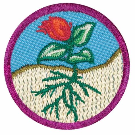 JUNIOR FLOWERS BADGE