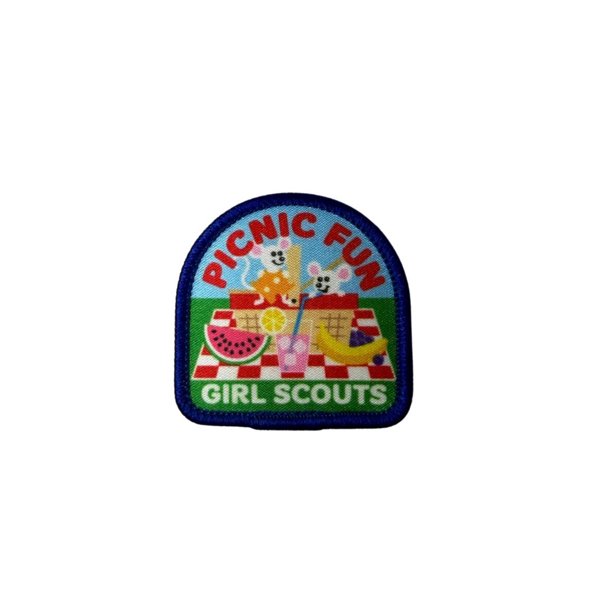 GIRL SCOUTS PICNIC FUN
