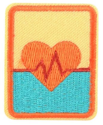 SENIOR UPDATED FIRST AID BADGE