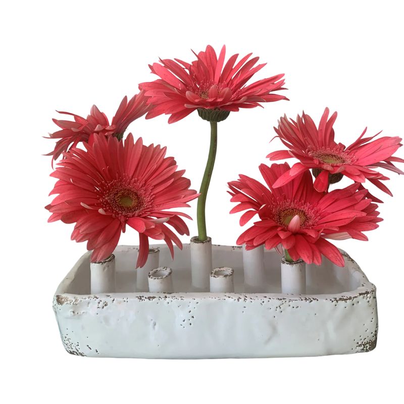 Tulipiere 8 hole